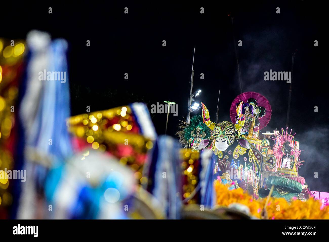 Rio De Janeiro, Brasilien. Februar 2024. RJ - RIO DE JANEIRO - 02/12/2024 - RIO 202 KARNEVAL, SPEZIELLE GRUPPENPARADE - Schwimmen der Samba-Schule Estacao Primeira de Mangueira während der zweiten Nacht der Rio de Janeiro-Sonderparade am Marques de Sapucai Sambadrome am Montag (12). Foto: Thiago Ribeiro/AGIF (Foto: Thiago Ribeiro/AGIF/SIPA USA) Credit: SIPA USA/Alamy Live News Stockfoto