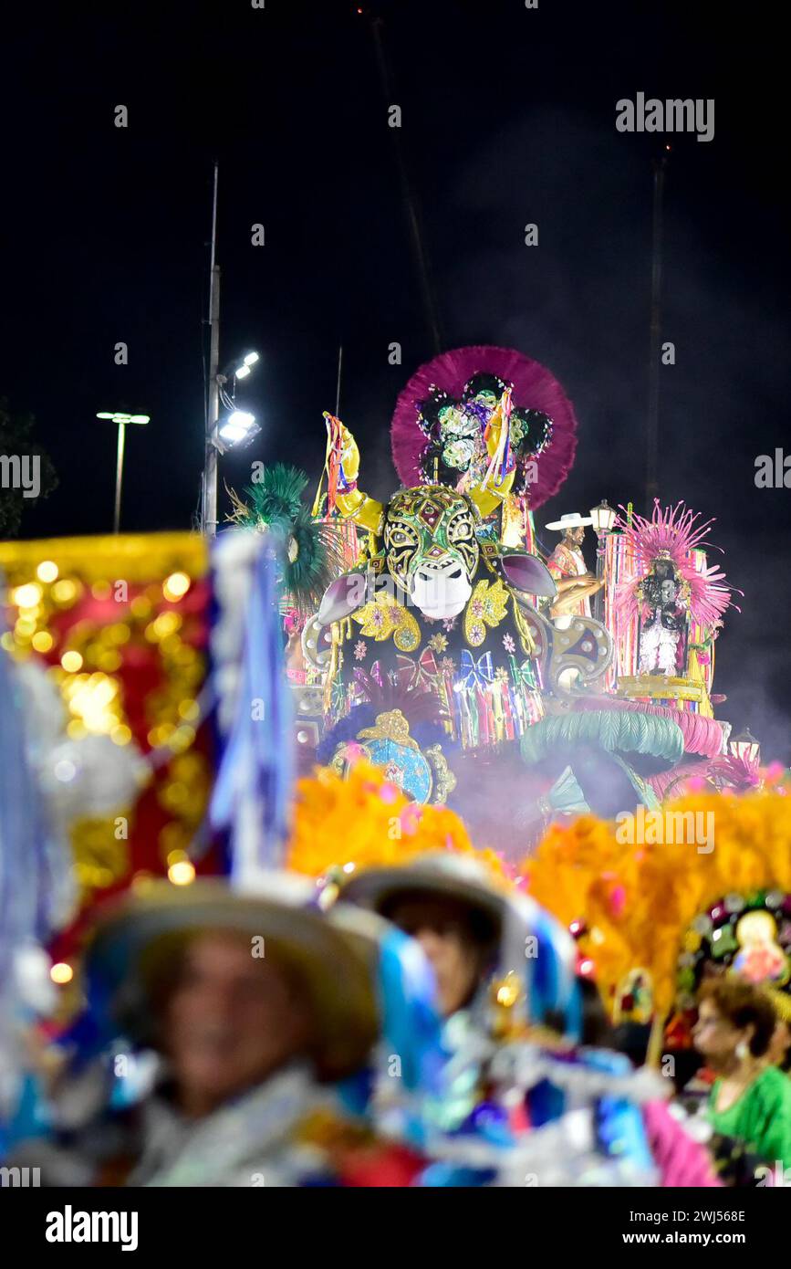 Rio De Janeiro, Brasilien. Februar 2024. RJ - RIO DE JANEIRO - 02/12/2024 - RIO 202 KARNEVAL, SPEZIELLE GRUPPENPARADE - Schwimmen der Samba-Schule Estacao Primeira de Mangueira während der zweiten Nacht der Rio de Janeiro-Sonderparade am Marques de Sapucai Sambadrome am Montag (12). Foto: Thiago Ribeiro/AGIF (Foto: Thiago Ribeiro/AGIF/SIPA USA) Credit: SIPA USA/Alamy Live News Stockfoto