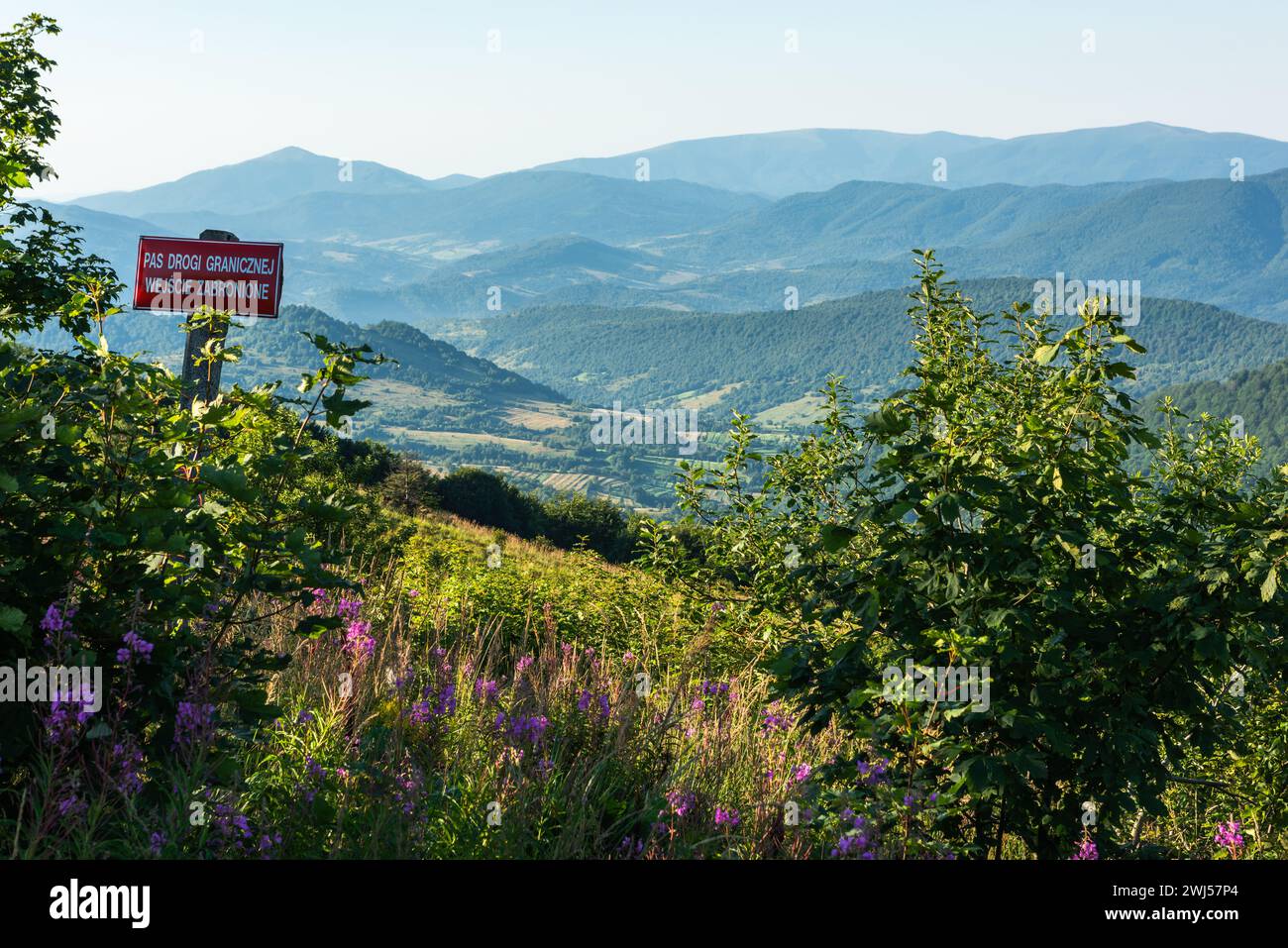 Wildnis und malerische Natur und alpine Landschaft im Sommer in den Bieszczady Mountains, Karpaten, Polen. Stockfoto