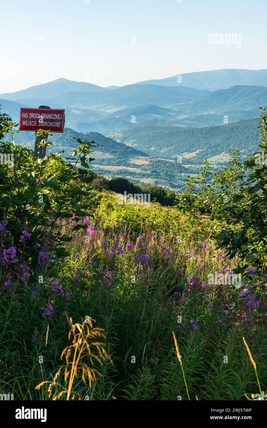 Wildnis und malerische Natur und alpine Landschaft im Sommer in den Bieszczady Mountains, Karpaten, Polen. Stockfoto