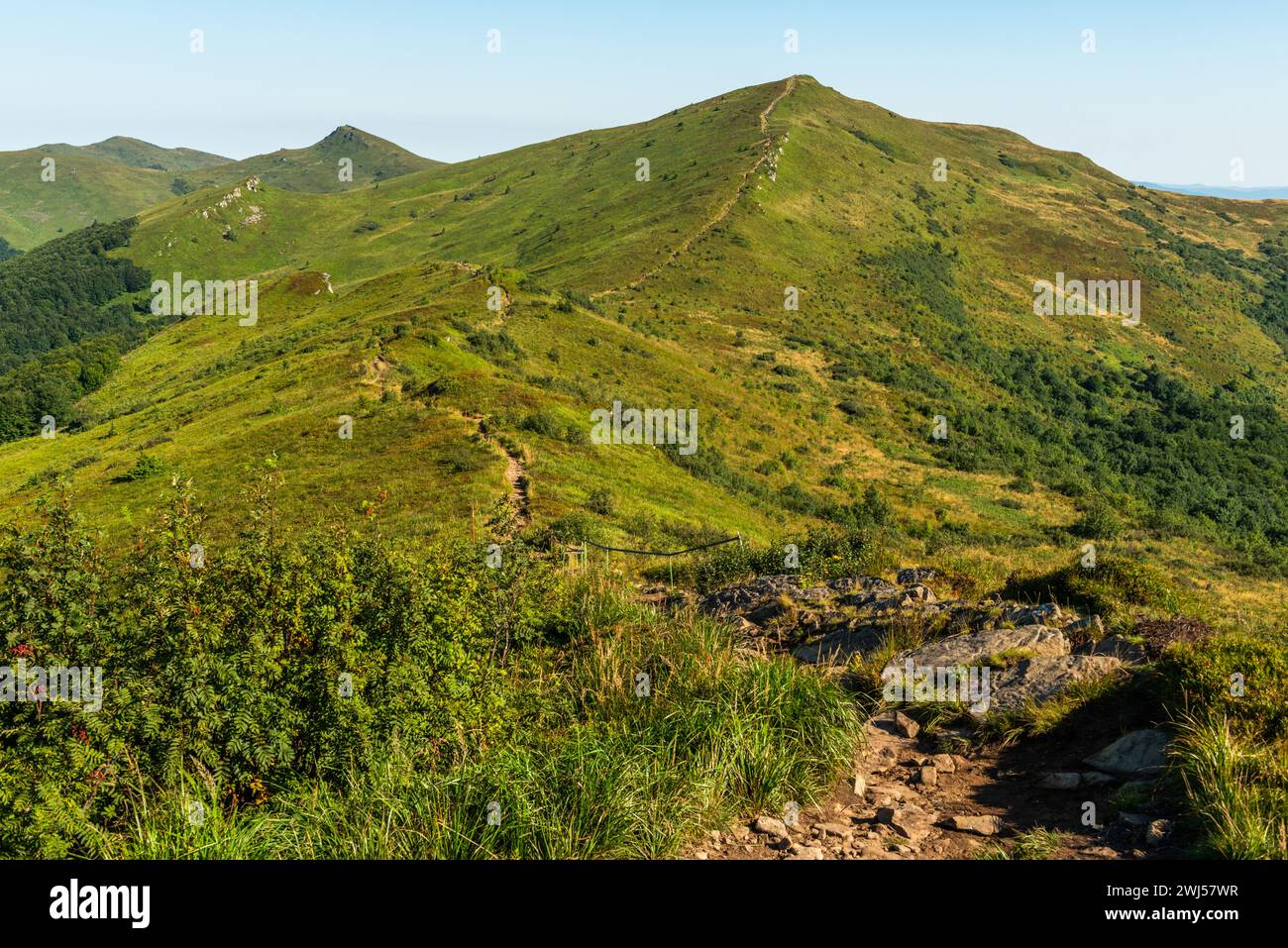 Trekkingtour durch die Wildnis und die malerische Natur im Sommer in den Bieszczady Mountains, Karpaten, Polen. Stockfoto