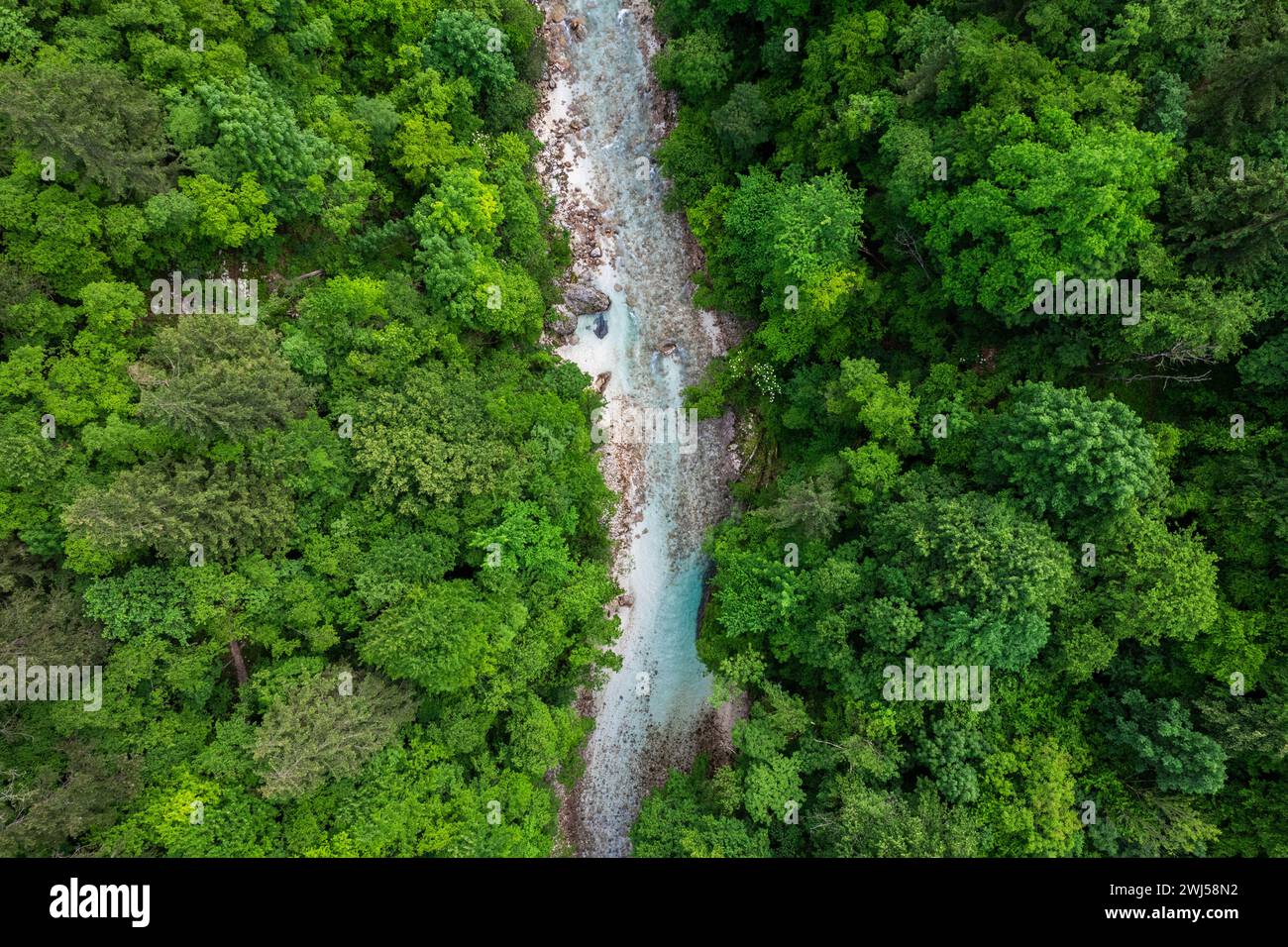 Der Fluss Soca in Slowenien. Luftdrohne mit Blick von oben auf den smaragdgrünen Fluss im Wald Stockfoto