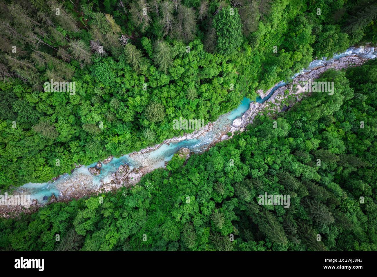 Der Fluss Soca in Slowenien. Luftdrohne mit Blick von oben auf den smaragdgrünen Fluss im Wald Stockfoto