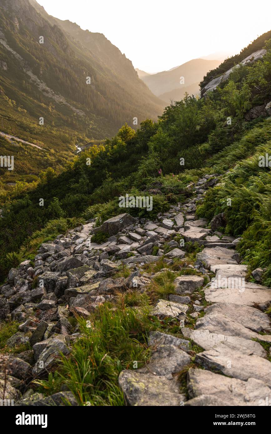 Alpinpfad im Tatra-Gebirge, Polen im Sommer. Malerische Landschaft und Natur Stockfoto
