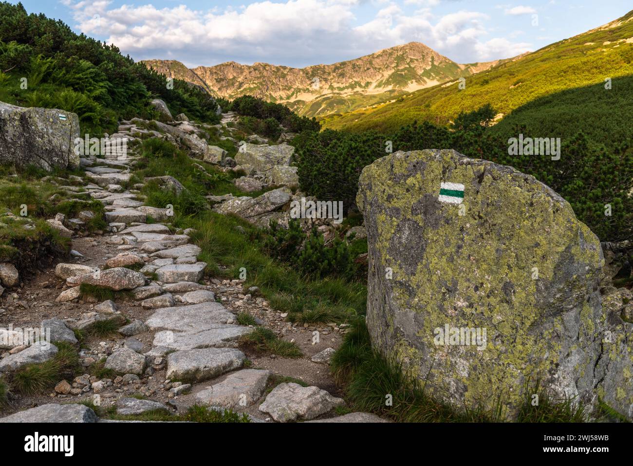 Alpinpfad im Tatra-Gebirge, Polen im Sommer. Malerische Landschaft und Natur Stockfoto