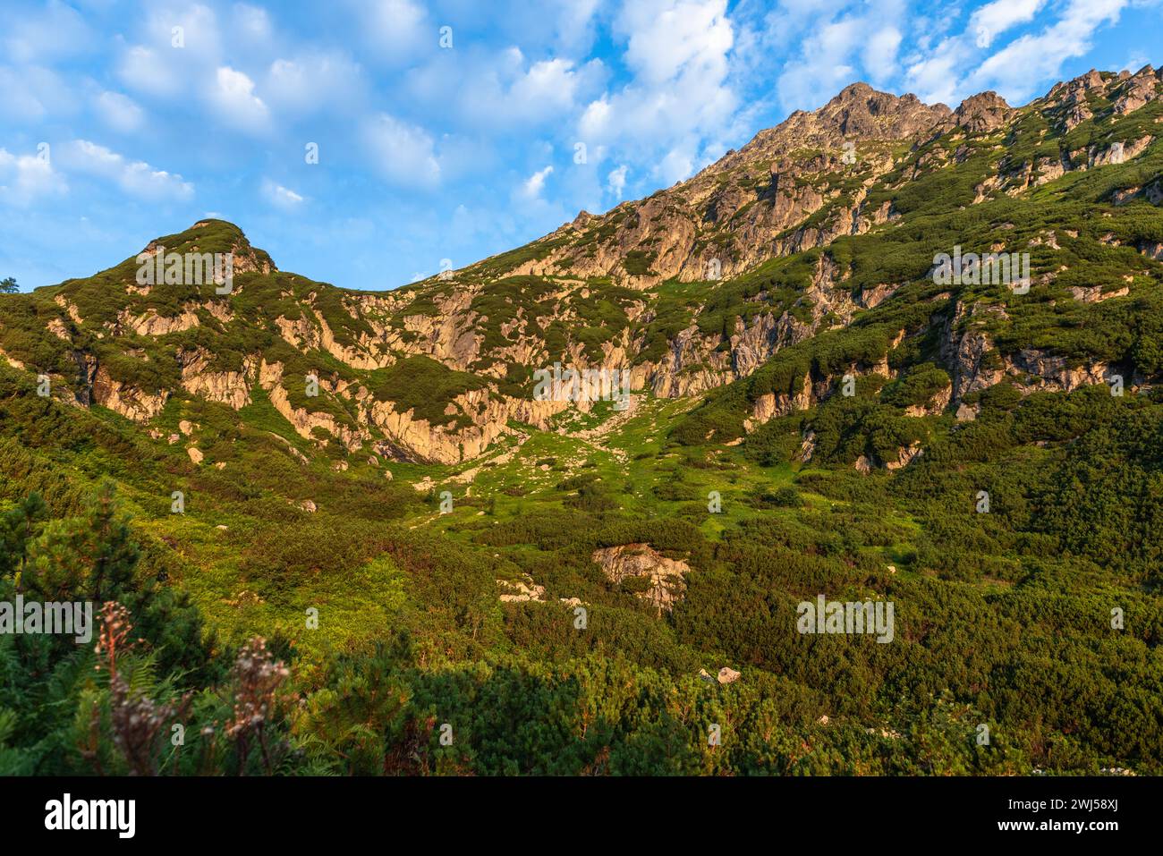 Alpinpfad im Tatra-Gebirge, Polen im Sommer. Malerische Landschaft und Natur Stockfoto