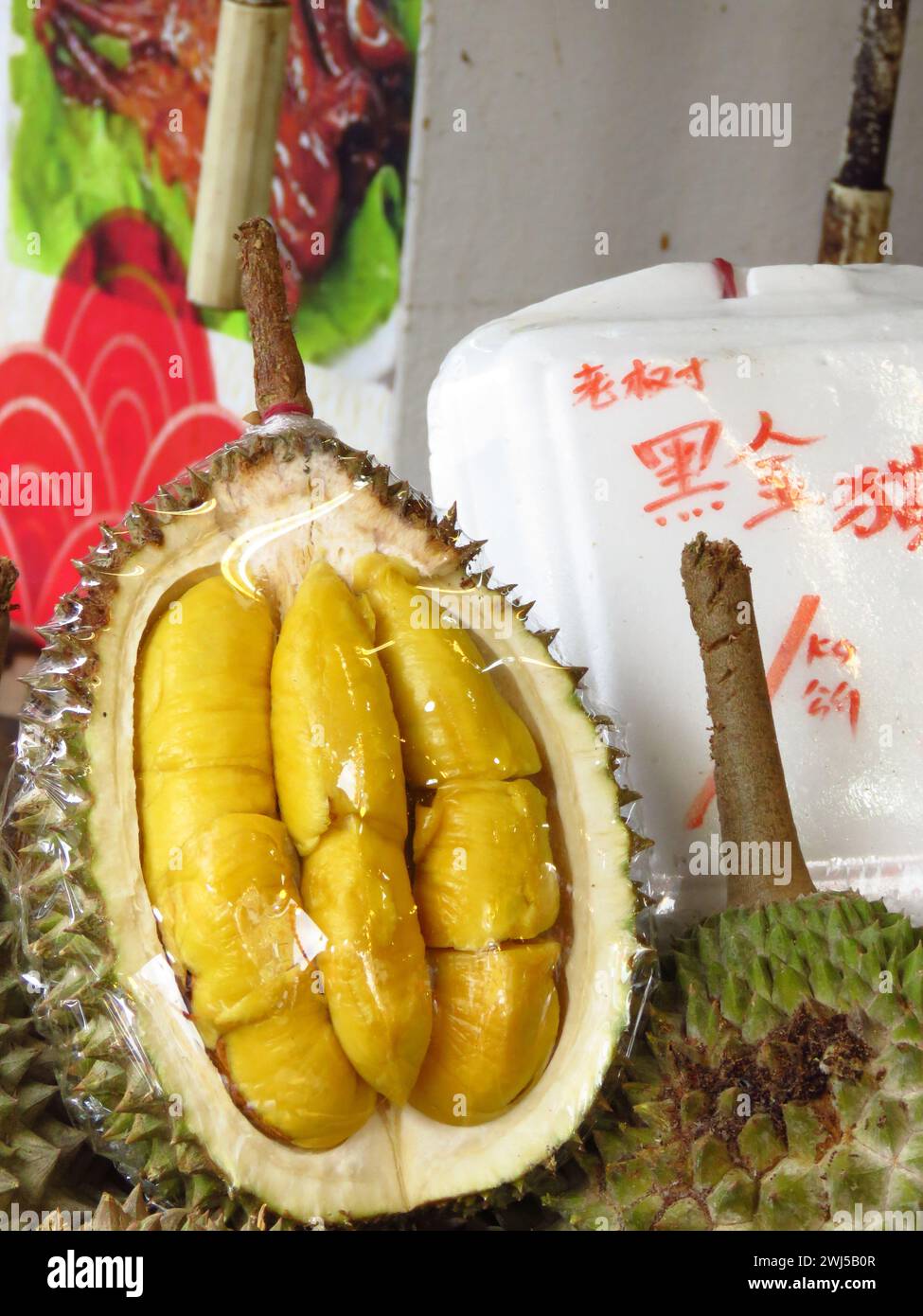 Frische Durianfrüchte mit grüner Dornhartschale und fleischigen, gelblichen Fleischsamen, die im Obststand verkauft werden. Chinesische Worte „Schwarzer goldener Musang-König“. Stockfoto