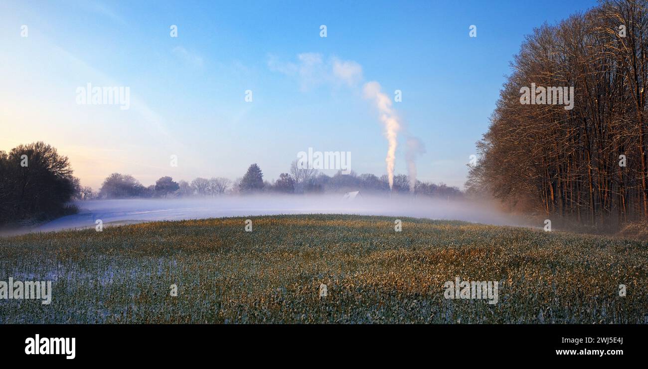 Winterlandschaft mit Erdnebel über einem Feld, Witten, Nordrhein-Westfalen, Deutschland, Europa Stockfoto