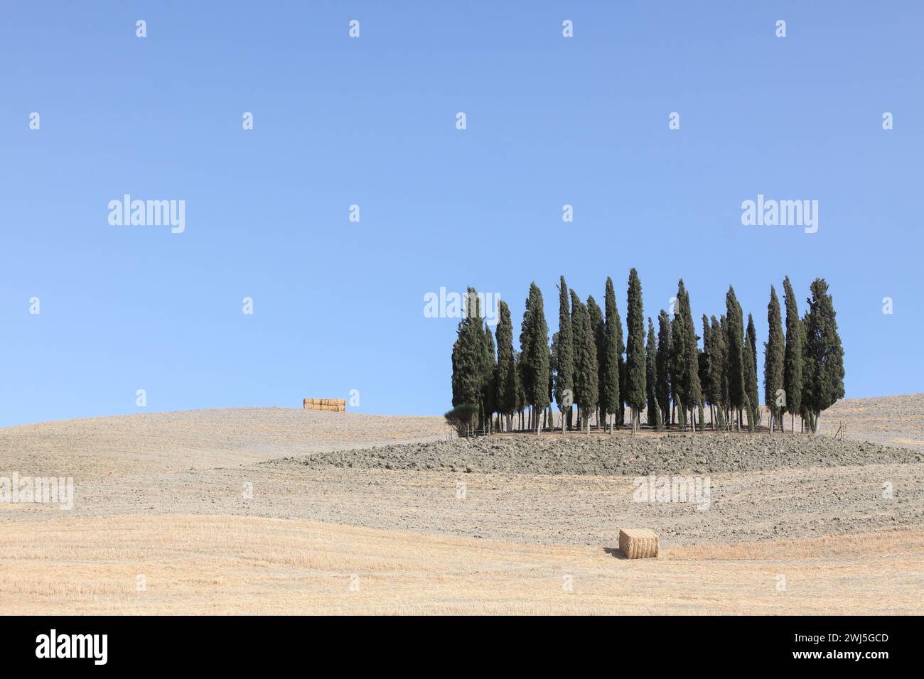 Berühmte Landschaft mit einer Gruppe von Zypressen in San Quirico Val d'Orcia, Toskana, Italien Stockfoto