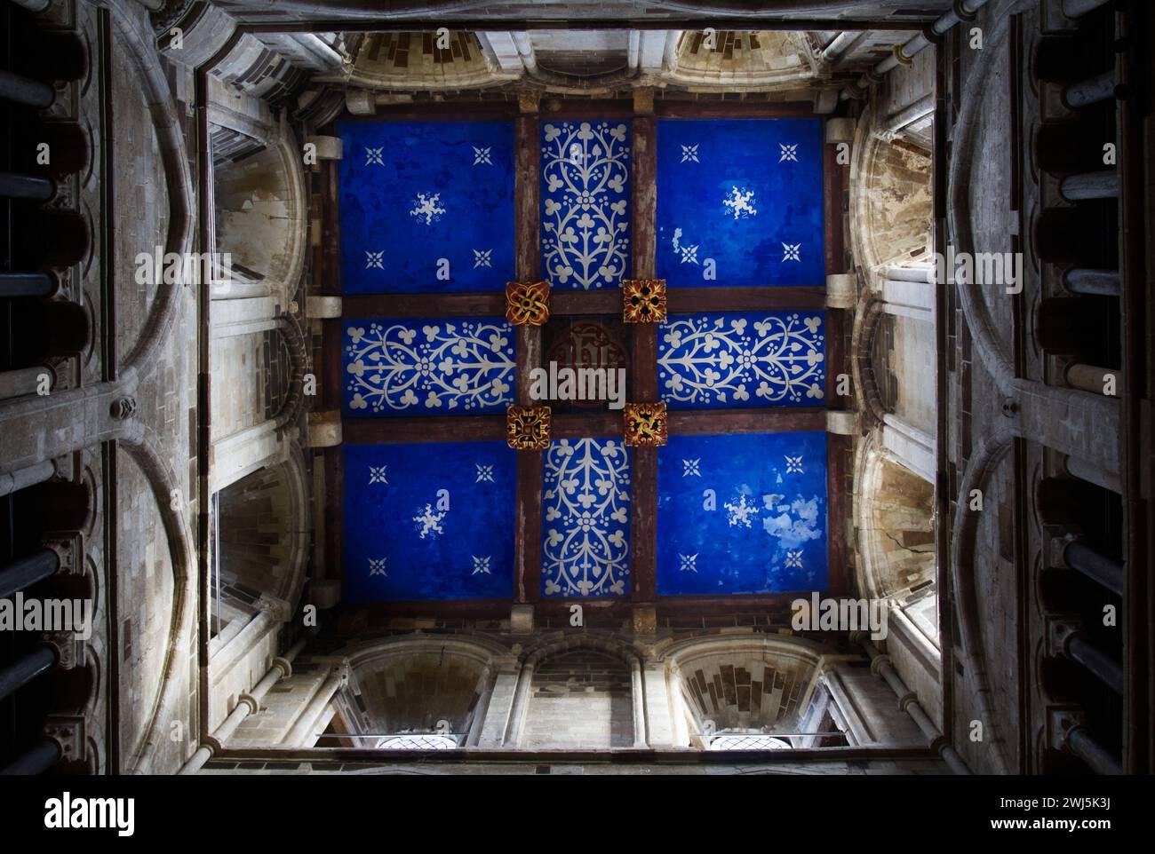 Hell bemalte, verzierte, blaue mittelalterliche Decke des Norman Architecture Central Tower of Wimborne Minster Parish Church, Wimborne, Dorset, Großbritannien Stockfoto