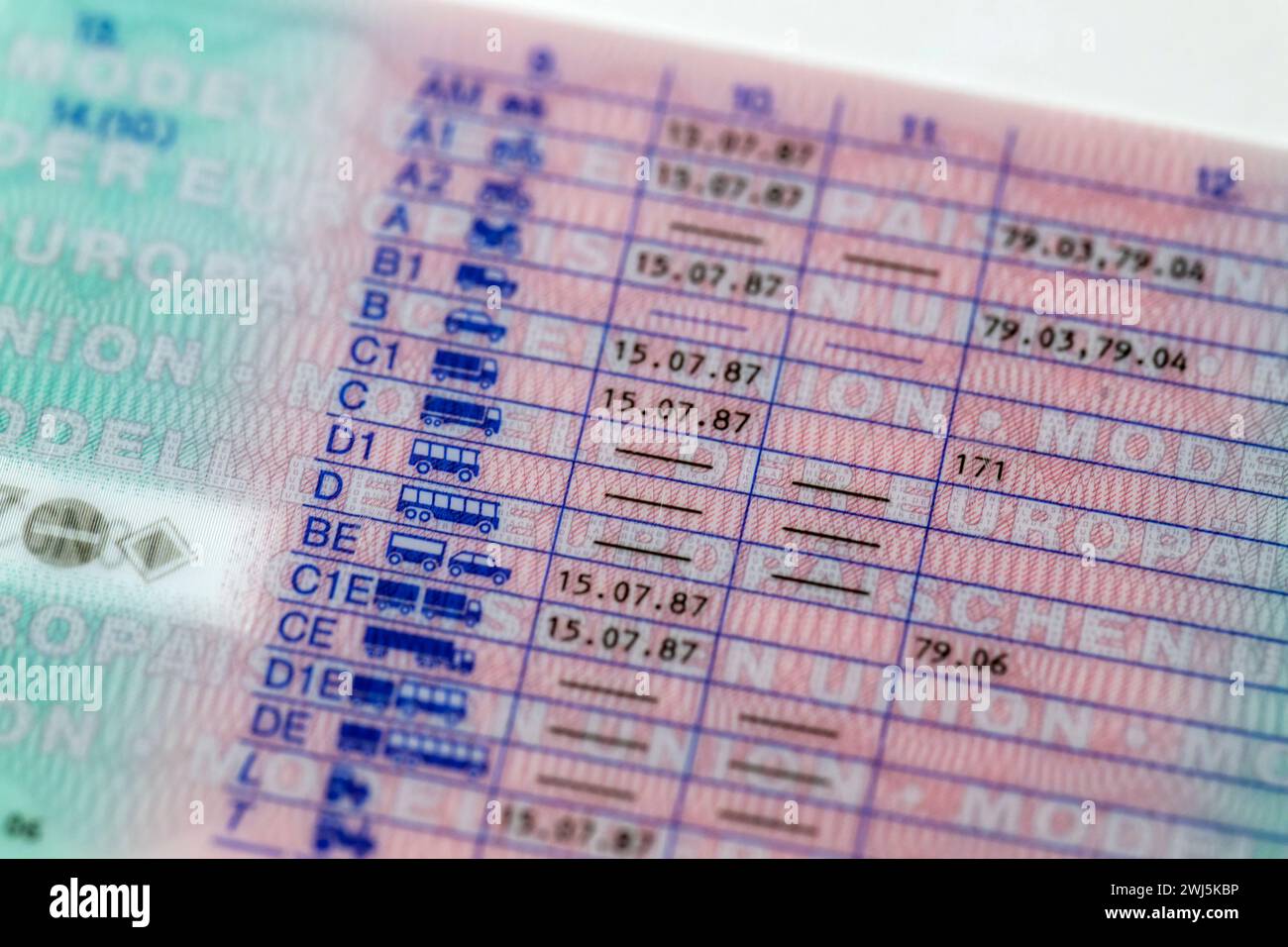 12.02.2024, Führerscheine, neue EU-Verordnung für Führerscheine, bis zum 19.Januar 2033 müssen alle Führerscheine in Europa in einheitlichen Plastkkarten-Dokumenten erneuert werden. Hier der neue Führerschein, auf der Rückseite die Fahrerlaubnisklassen A bis D aufgeführt mit dem Datum des Führerscheinerwerbes. Klasse A1 Krafträder mit einem Hubraum von nicht mehr als 125 ccm, sowie dreirädrige Kraftfahrzeuge bis 15 kW. Klasse AM: Leichte zweirädrige Kraftfahrzeuge, Dreirädrige Kleinkrafträder, leichte vierrädrige Straßen-Quads, L: Traktor-Führerschein, für Zugmaschinen bis 40 km/h mit an Stockfoto