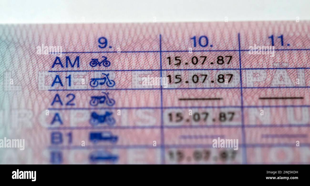 12.02.2024, Führerscheine, neue EU-Verordnung für Führerscheine, bis zum 19.Januar 2033 müssen alle Führerscheine in Europa in einheitlichen Plastkkarten-Dokumenten erneuert werden. Hier der neue Führerschein, auf der Rückseite die Fahrerlaubnisklassen A bis D aufgeführt mit dem Datum des Führerscheinerwerbes. Klasse A1 Krafträder mit einem Hubraum von nicht mehr als 125 ccm, sowie dreirädrige Kraftfahrzeuge bis 15 kW. Klasse AM: Leichte zweirädrige Kraftfahrzeuge, Dreirädrige Kleinkrafträder, leichte vierrädrige Straßen-Quads, 12.02.2024, neue EU Führerscheine 12.02.2024, neue EU Führerscheine Stockfoto