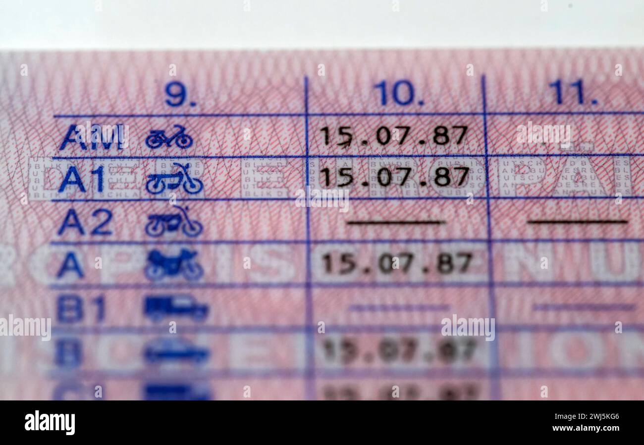 12.02.2024, Führerscheine, neue EU-Verordnung für Führerscheine, bis zum 19.Januar 2033 müssen alle Führerscheine in Europa in einheitlichen Plastkkarten-Dokumenten erneuert werden. Hier der neue Führerschein, auf der Rückseite die Fahrerlaubnisklassen A bis D aufgeführt mit dem Datum des Führerscheinerwerbes. Klasse A1 Krafträder mit einem Hubraum von nicht mehr als 125 ccm, sowie dreirädrige Kraftfahrzeuge bis 15 kW. Klasse AM: Leichte zweirädrige Kraftfahrzeuge, Dreirädrige Kleinkrafträder, leichte vierrädrige Straßen-Quads, 12.02.2024, neue EU Führerscheine 12.02.2024, neue EU Führerscheine Stockfoto