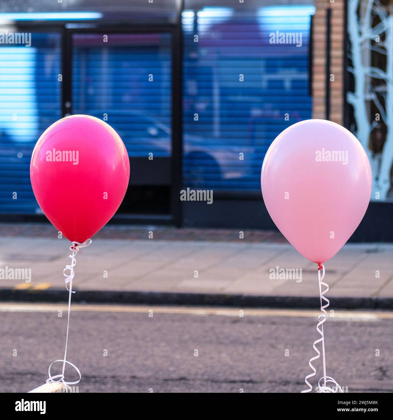 Kingston-upon-Thames, London UK, 12. Februar 2024, Pink Balloons Tied to Roadside Bicycle Stände with No People Stockfoto