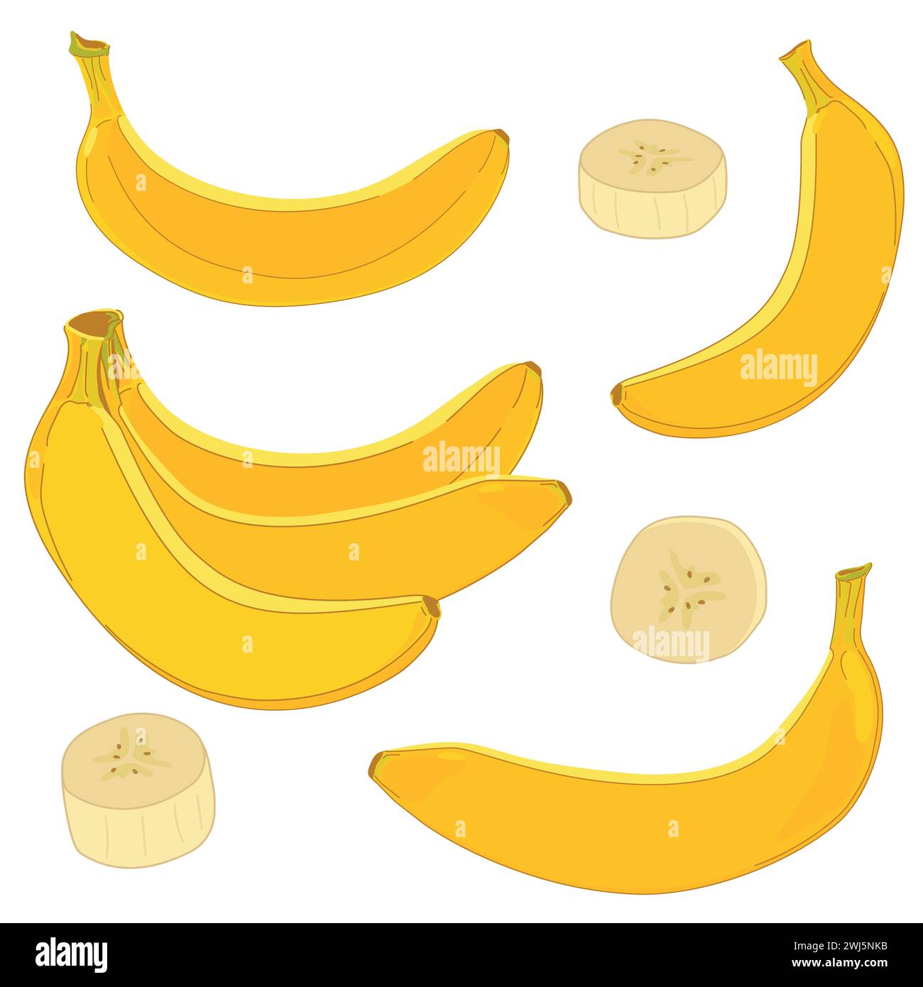 Set von Vektorgelben Bananen in flacher Form. Ganze exotische Früchte, Bananen, in Scheiben geschnittenes weißes Fleisch. Clipart im Cartoon-Stil für das Verpackungsdesign von Stock Vektor