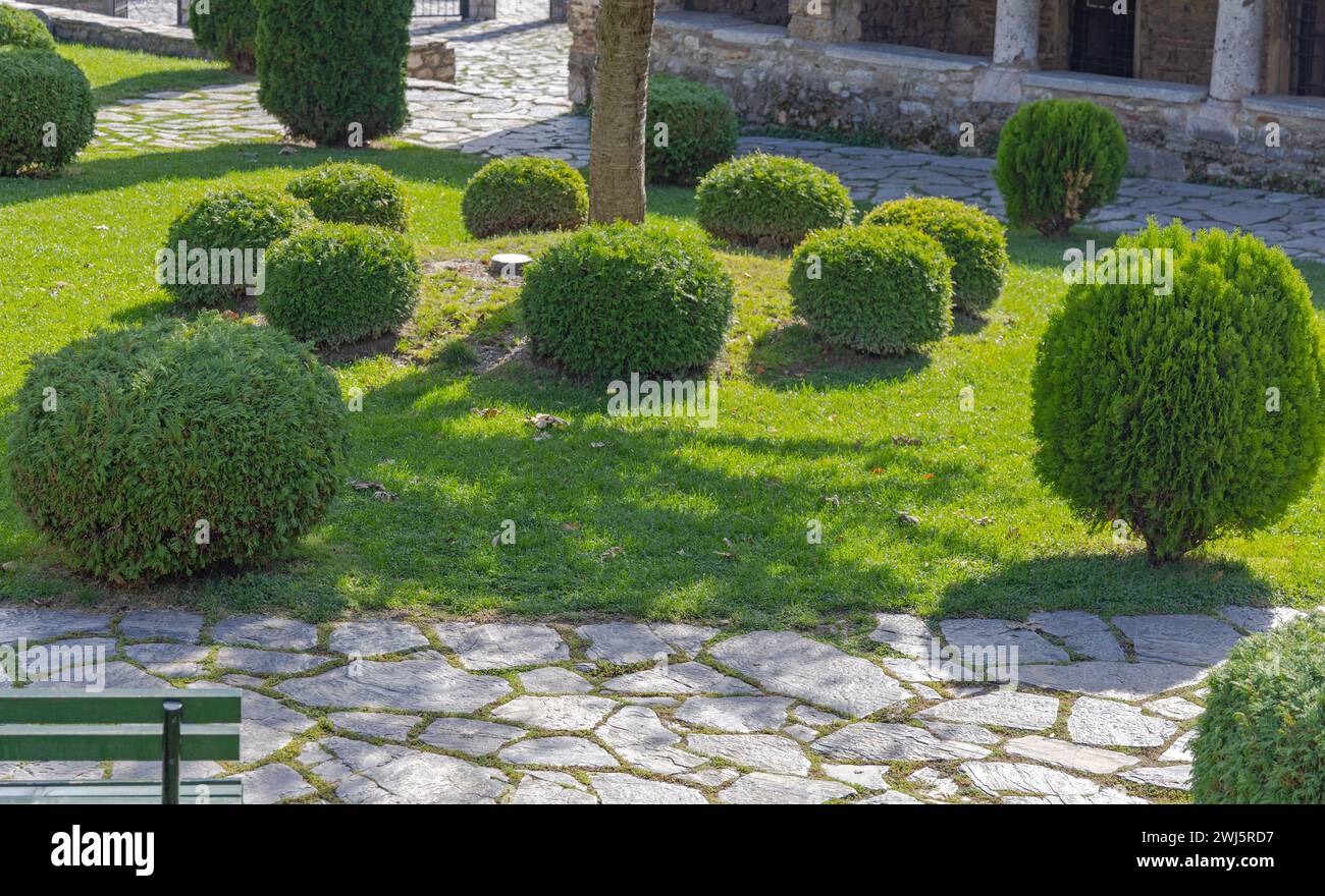 Green Grass Bush kultivierter Garten im Kirchhof Ohrid Mazedonien Stockfoto