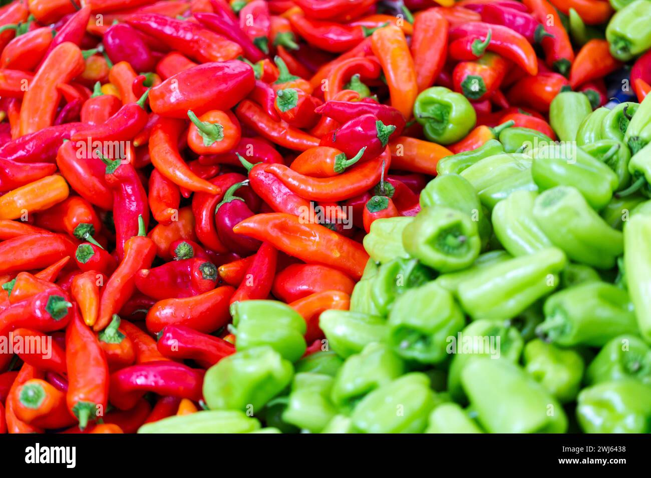 Grüne und rote Chilis werden auf dem lokalen Lebensmittelmarkt in Istanbul verkauft Stockfoto