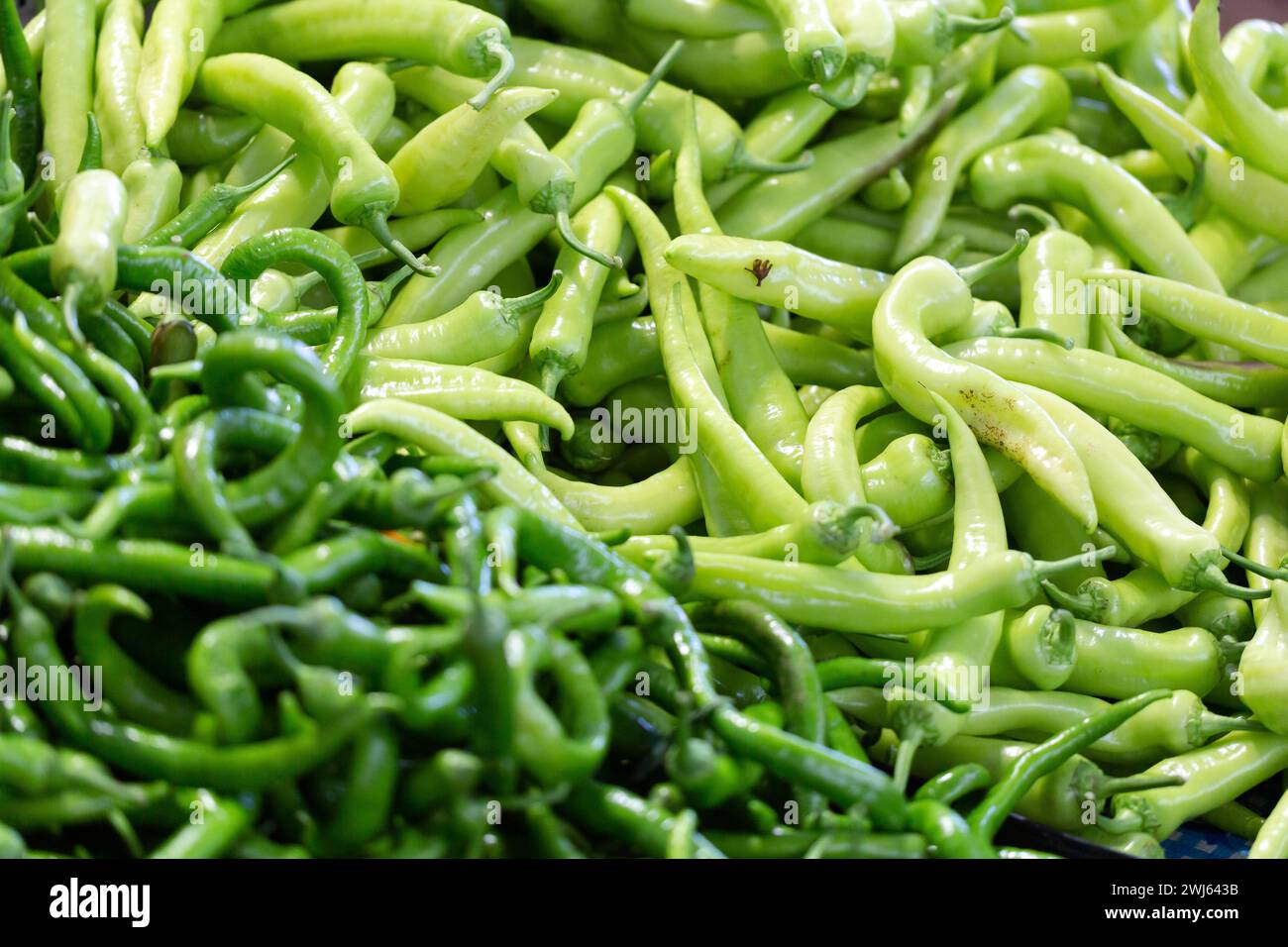 Grüne Chilis zum Verkauf auf dem lokalen Lebensmittelmarkt in Istanbul Stockfoto