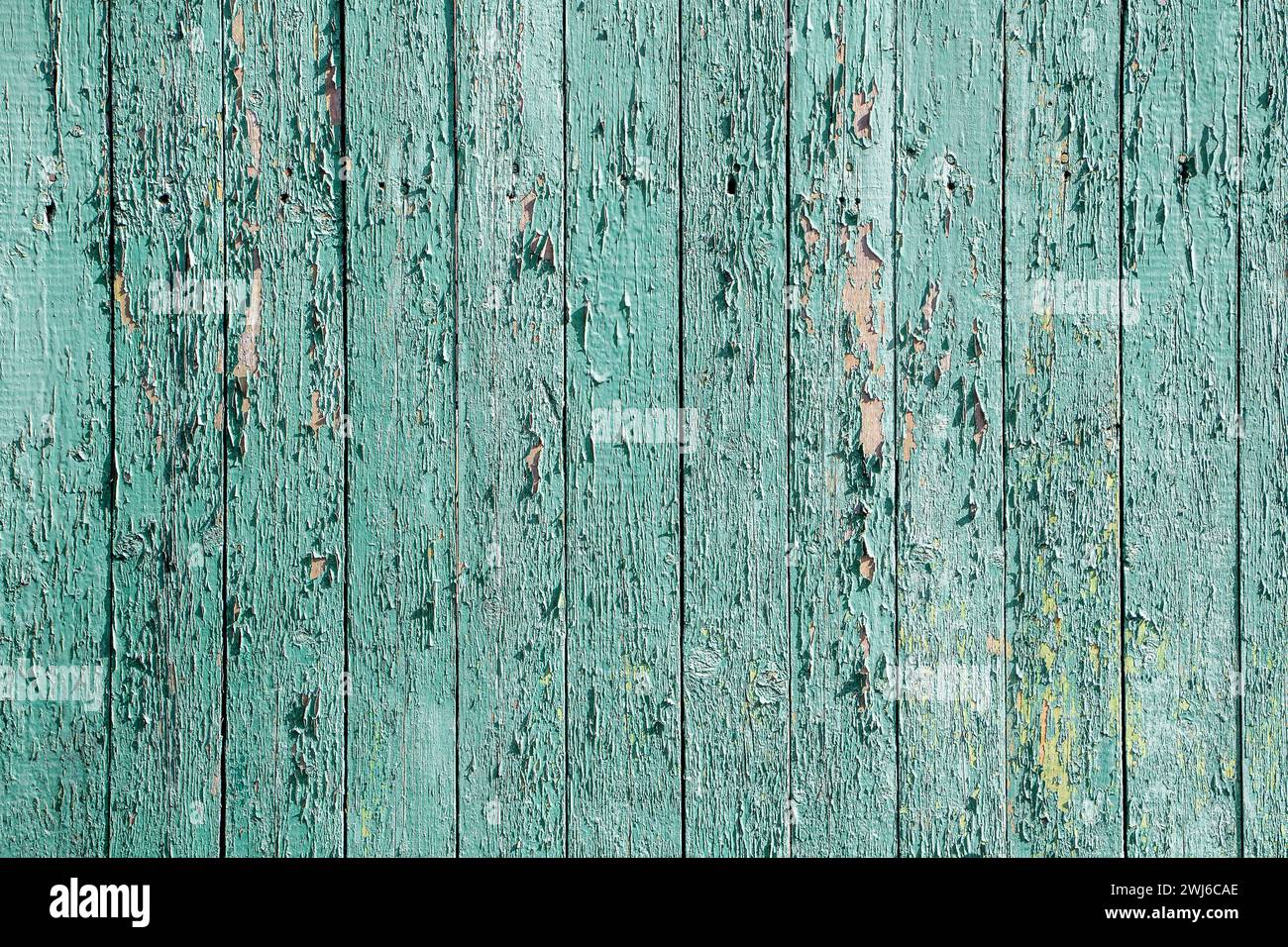 Alte hölzerne mintfarbene rustikale Zaunstruktur mit abblätternder Farbe. Stockfoto
