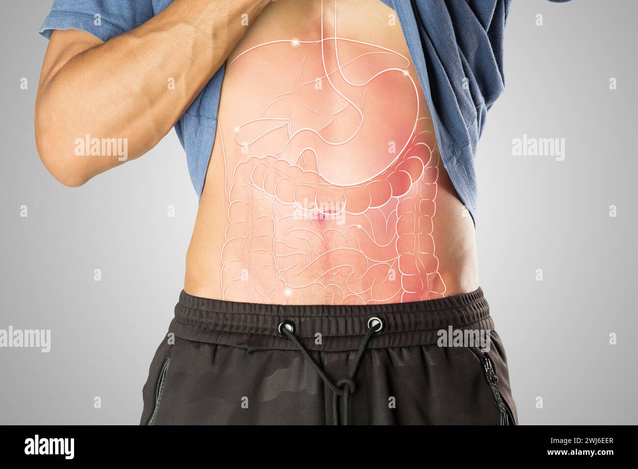 Die Darstellung der inneren Organe ist auf dem menschlichen Körper. Mann mit viszeraler Entzündung Stockfoto