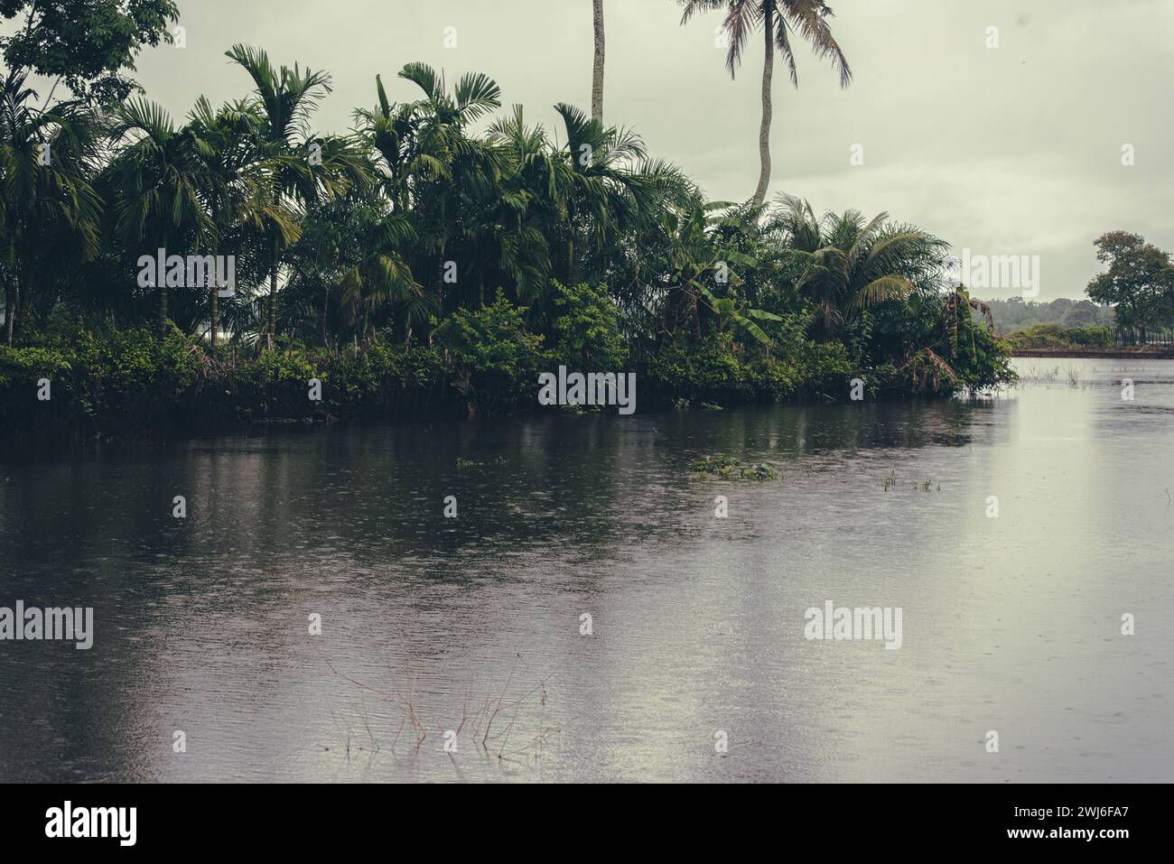 Natur und See Vintage Atmosphäre Stockfoto