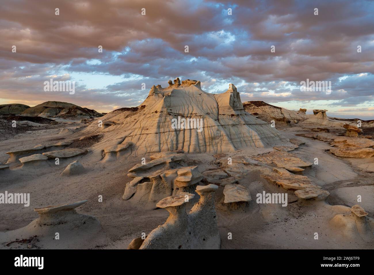 FELSFORMATION IN BISTI - DE NA ZIN - WILDNIS, FARMINGTON, NM, USA Stockfoto