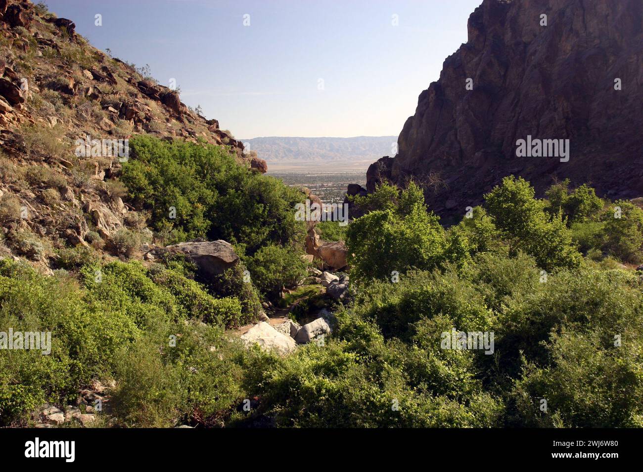 Tahquitz Canyon Trail in der Nähe von Palm Springs in Kalifornien. Stockfoto