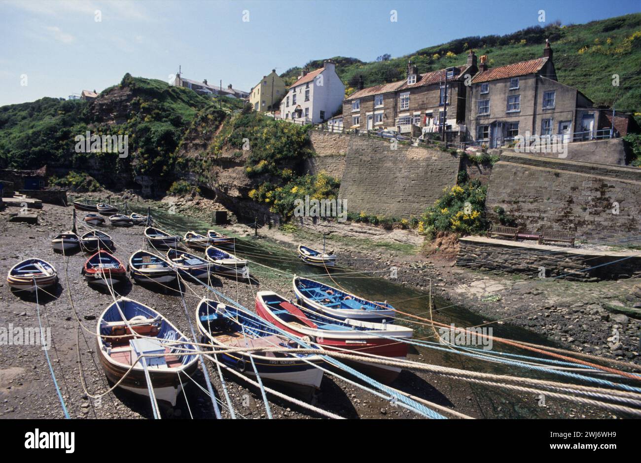 Vereinigtes Königreich, Yorkshire, Staithes, Ruderboote. Stockfoto