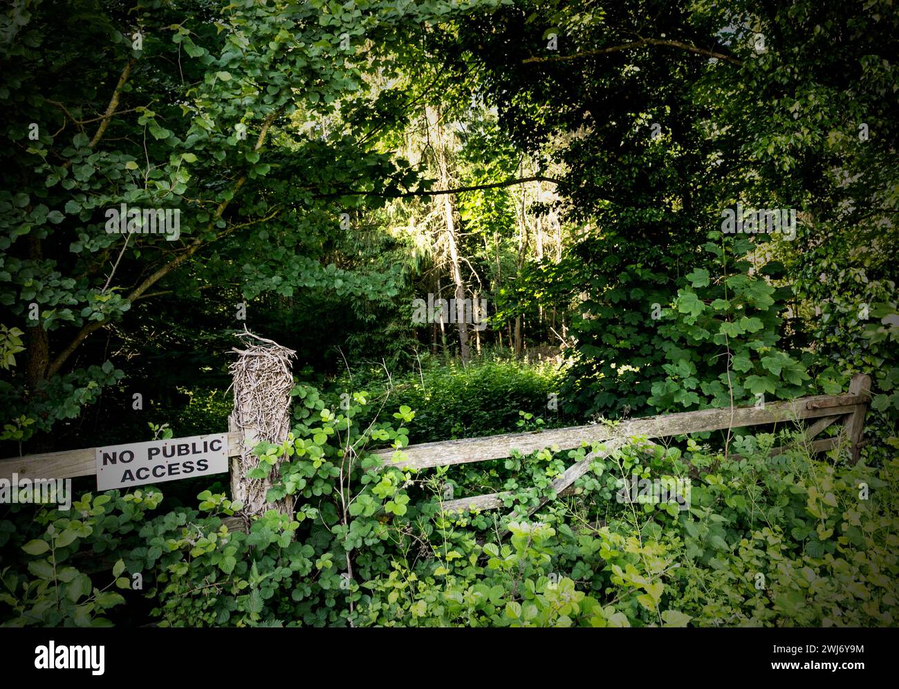 'Kein öffentlicher Zugang' durch ein hölzernes Tor, das zu einem Wald in der Akeman Street, Oxfordshire führt. Juni 2018 Stockfoto