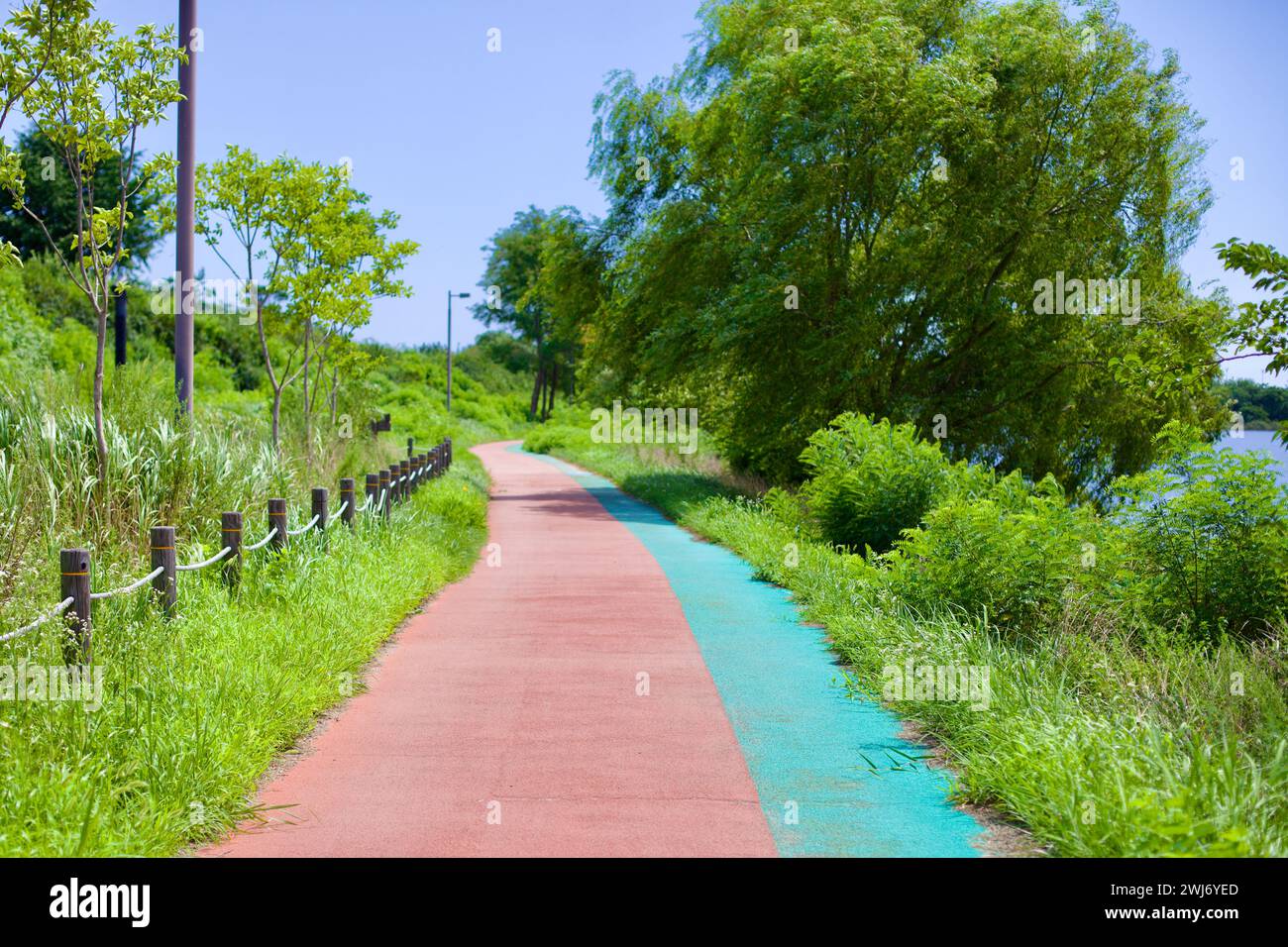 Gangneung City, Südkorea - 29. Juli 2019: Ein Radweg schlängelt sich sanft entlang des Namdae Stream in Richtung Gangneung Port, flankiert von üppigen grünen Bäumen, Stockfoto