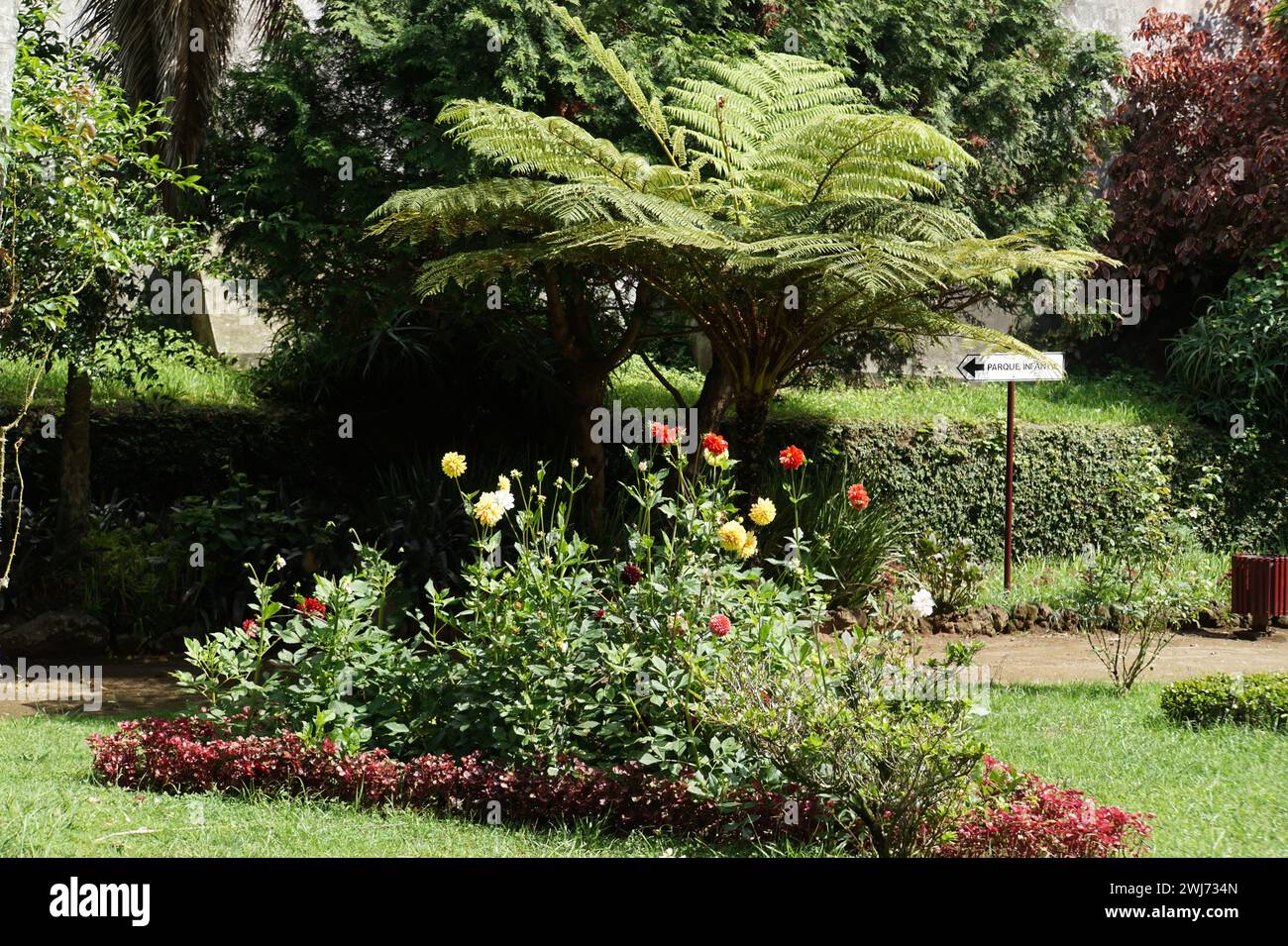 Um jardim com flores e plantas tropicais Stockfoto