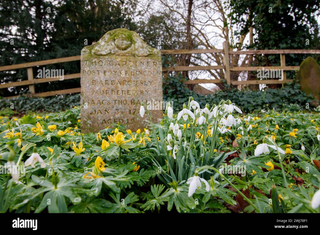 Der Grabstein des 19-jährigen Postjungen Thomas Gardiner, der 1732 vermutet wurde, ist übersät mit den leuchtenden Farben der frühen Frühlingsblumen im Dorf Nettleham, Lincolnshire. Stockfoto