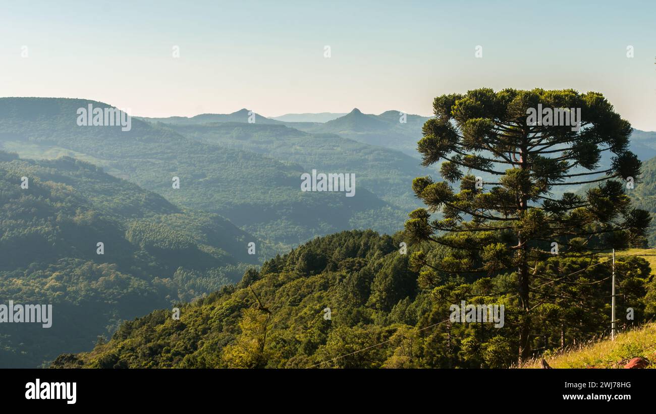 Aussichtspunkt Tal der Pyramiden in der Region Lagoas - Landschaft von Sao Francisco de Paula, Serra Gaucha (Süden Brasiliens) Stockfoto