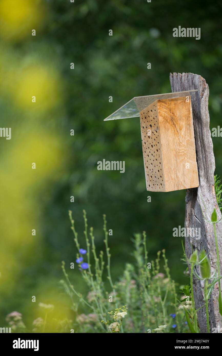 Wildbienen-Nisthilfe aus Hartholz, Massivholz, Holz. Als Regenschutz wird auf die angeschrägte Seite des Klotzes eine Plexiglasscheibe aufgeschraubt. Stockfoto