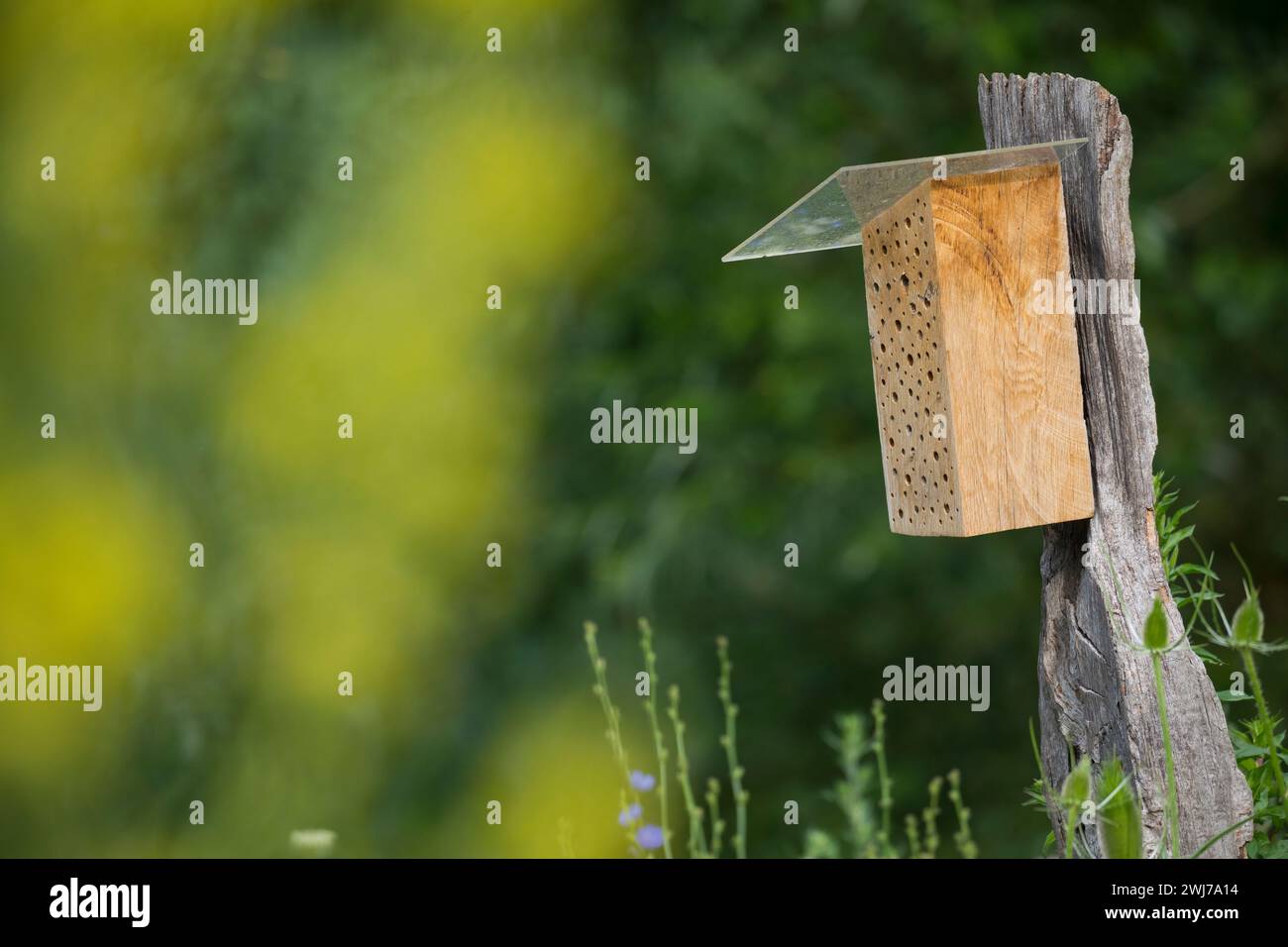 Wildbienen-Nisthilfe aus Hartholz, Massivholz, Holz. Als Regenschutz wird auf die angeschrägte Seite des Klotzes eine Plexiglasscheibe aufgeschraubt. Stockfoto