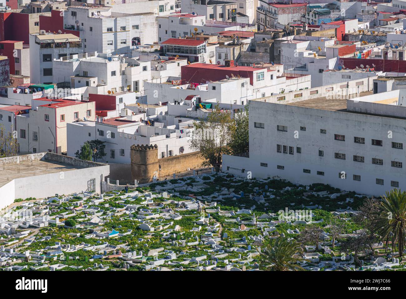 Blick auf die islamische Stadt mit Friedhof und Wohngebäuden, Tétouan, Marokko, Nordafrika Stockfoto