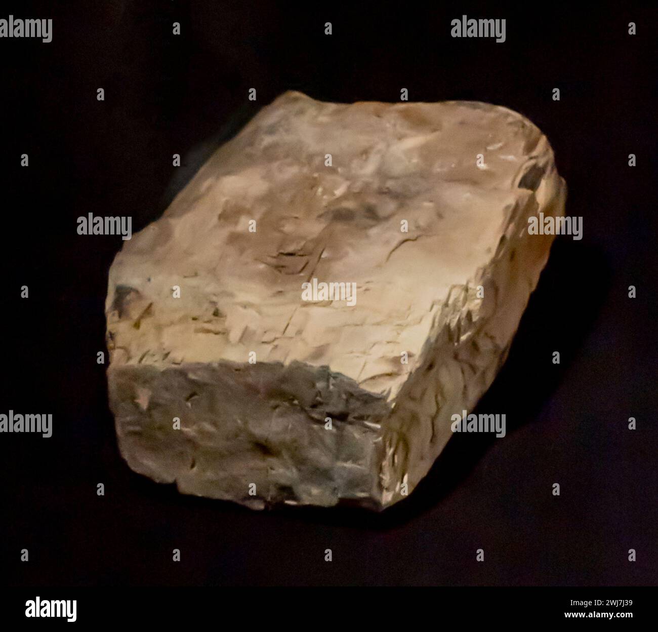 Versteinertes Baumstück, mesozoischer Baum, Mangystau Kasachstan Stockfoto