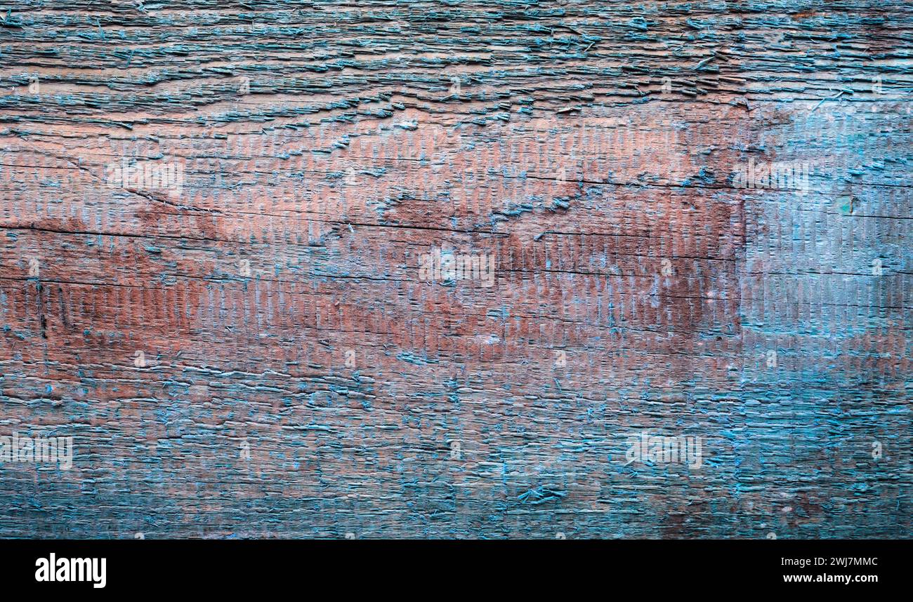 Die Textur alter Bretter mit abblätternder blauer Farbe. Kann als Hintergrund verwendet werden. Stockfoto