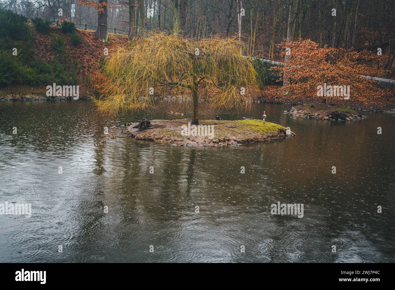 Fischteich auf dem Gelände der Burg Konopiště, Benešov, Tschechische Republik Stockfoto