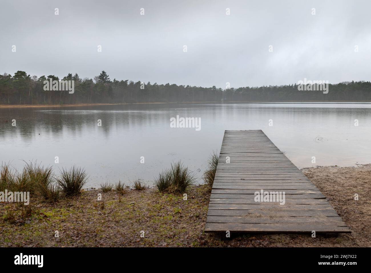 Europa Deutschland Niedersachsen Landkreis Rotenburg Wümme Lüneburger Heide am grossen Bullensee großes und Weisses Moor Naturschutzgebiet See Wald Stockfoto