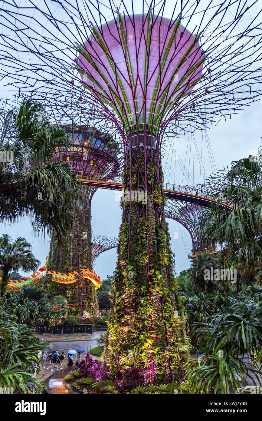 Eine drachenförmige Lichtinstallation rund um die Supertrees zur Feier des chinesischen Neujahrs in Singapurs Gardens by the Bay. Stockfoto
