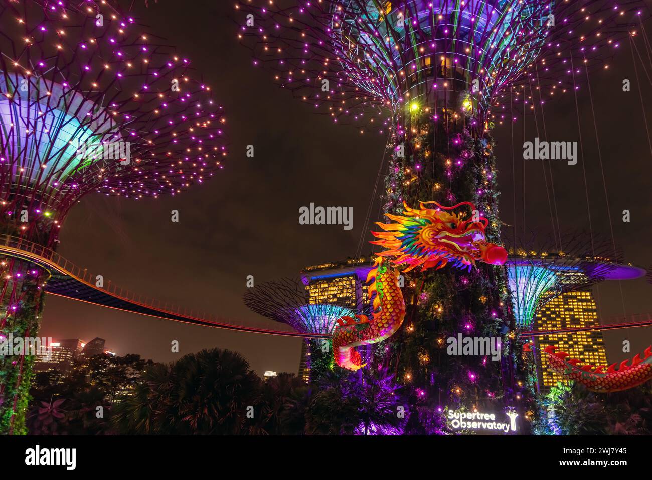 Eine drachenförmige Lichtinstallation rund um die Supertrees zur Feier des chinesischen Neujahrs in Singapurs Gardens by the Bay. Stockfoto