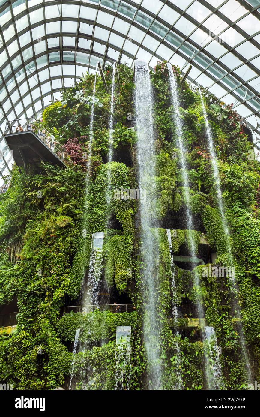 Wasserfall im Cloud Forest Dome in Gardens by the Bay in Singapur Stockfoto