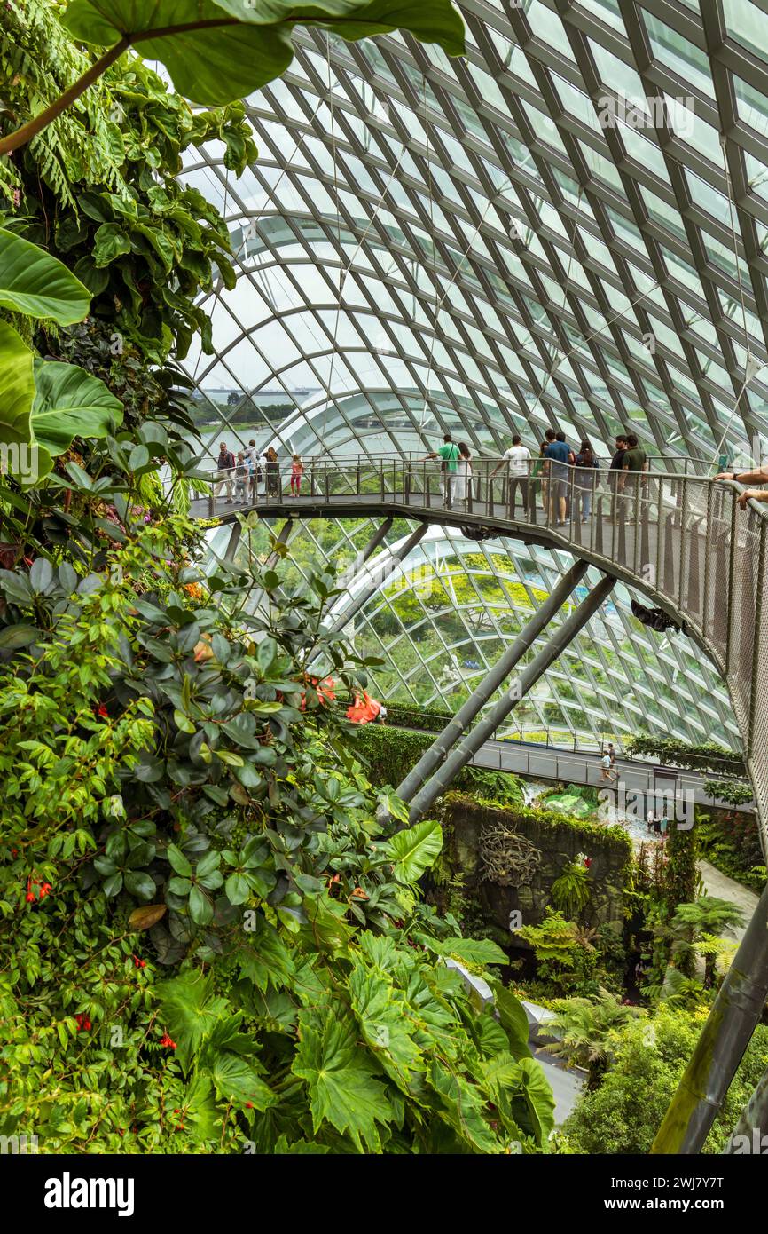 Der Cloud Forest at Gardens by the Bay ist eine der bekanntesten Attraktionen in Singapur. Stockfoto