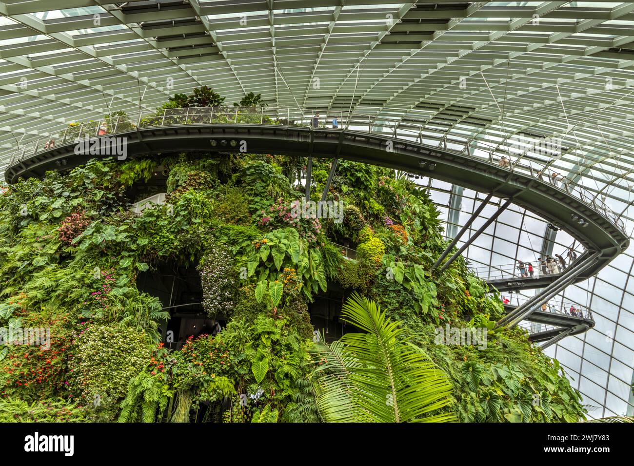 Der Cloud Forest at Gardens by the Bay ist eine der bekanntesten Attraktionen in Singapur. Stockfoto