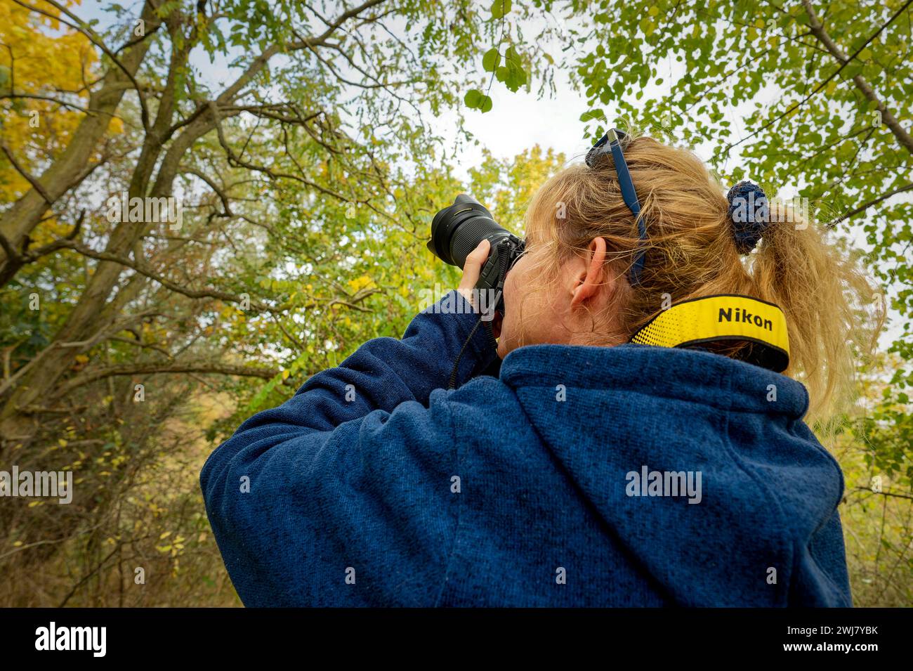 Berlin, Deutschland - 25. Oktober 2021: Aufnahme einer Fotografin im Herbst von schräg hintereinander, die mit ihrer Kamera ein Objekt fokussiert. Stockfoto