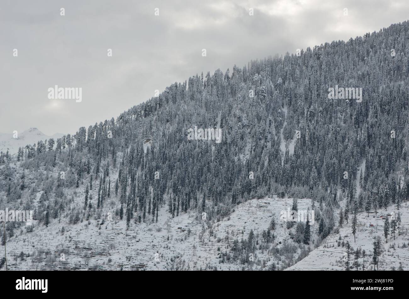 Schneefall in Khan-Bildern Stockfoto