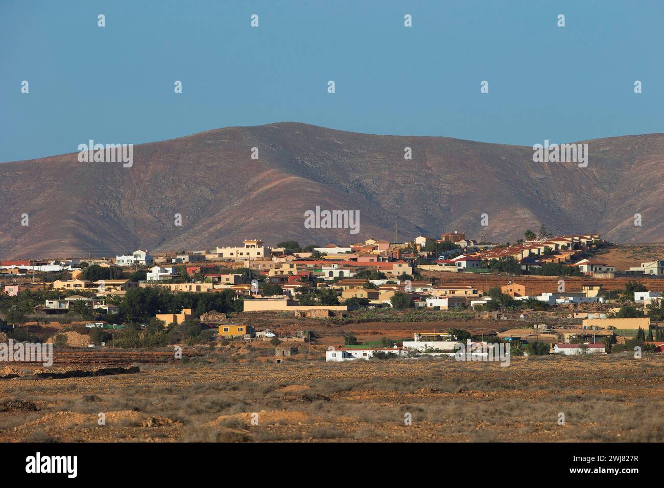 Tindaya am Rande der Halbwüste, Fuerteventura, Kanarische Inseln, Spanien Stockfoto