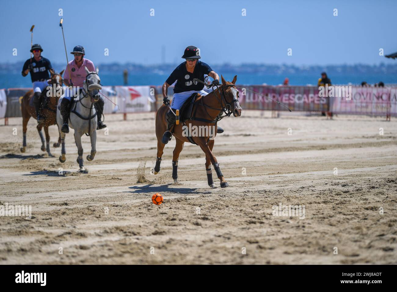 Melbourne, Australien. Februar 2024. Der australische Profi-Polospieler Josh Dales (Mitte) vom Captain Baxter-Team wird in einem Polospiel gegen das Whispering Angel Team beim Luxury Escapes Twilight Beach Polo 2024 in Aktion gesehen. (Foto: Alexander Bogatyrev/SOPA Images/SIPA USA) Credit: SIPA USA/Alamy Live News Stockfoto