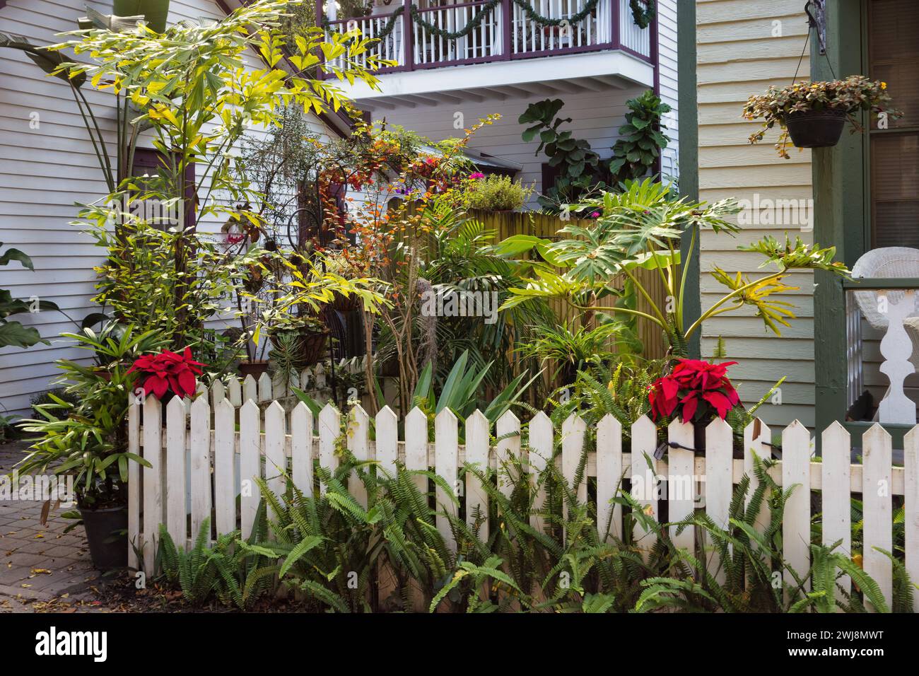 Kleiner Garten im Hinterhof eines Hauses in der Altstadt von St. Augustine, Florida, USA Stockfoto